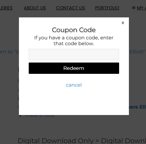 How To Apply a Coupon Code - Professional Debutante, Presentation Ball ...