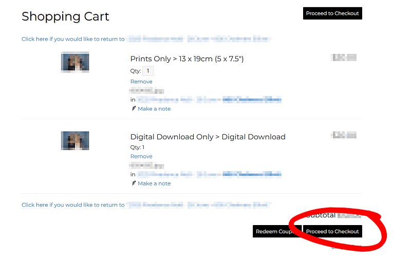 Proceed to Checkout.jpg